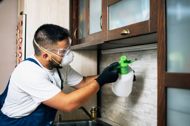 Best Flea Control Services  in Chilton, WI