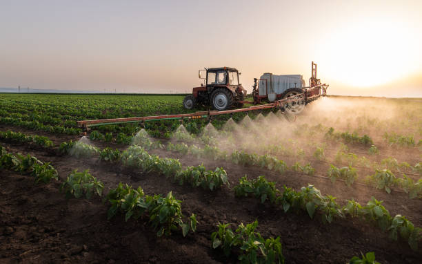 Best Pest Inspection Near Me  in Chilton, WI