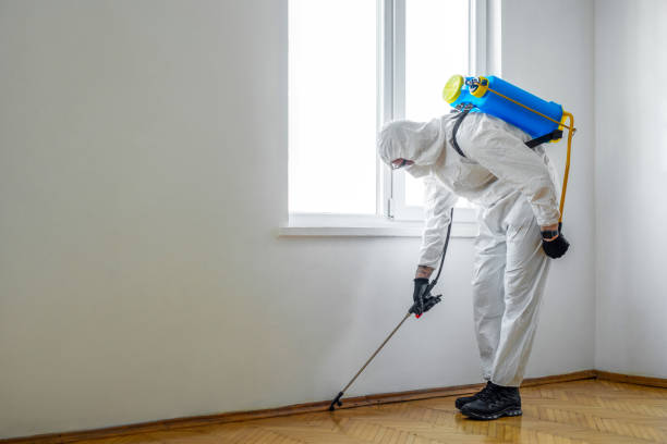 Best Commercial Pest Control Services  in Chilton, WI