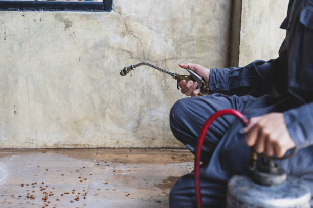 Best Rat Extermination Near Me  in Chilton, WI