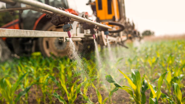Best Ant Control Services  in Chilton, WI